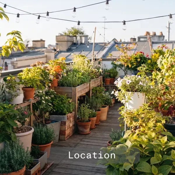 Location reference: a sunlit rooftop garden strung with warm string lights