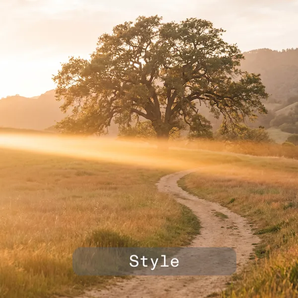 Style reference: a warm, golden-hour landscape with a sunlit path
